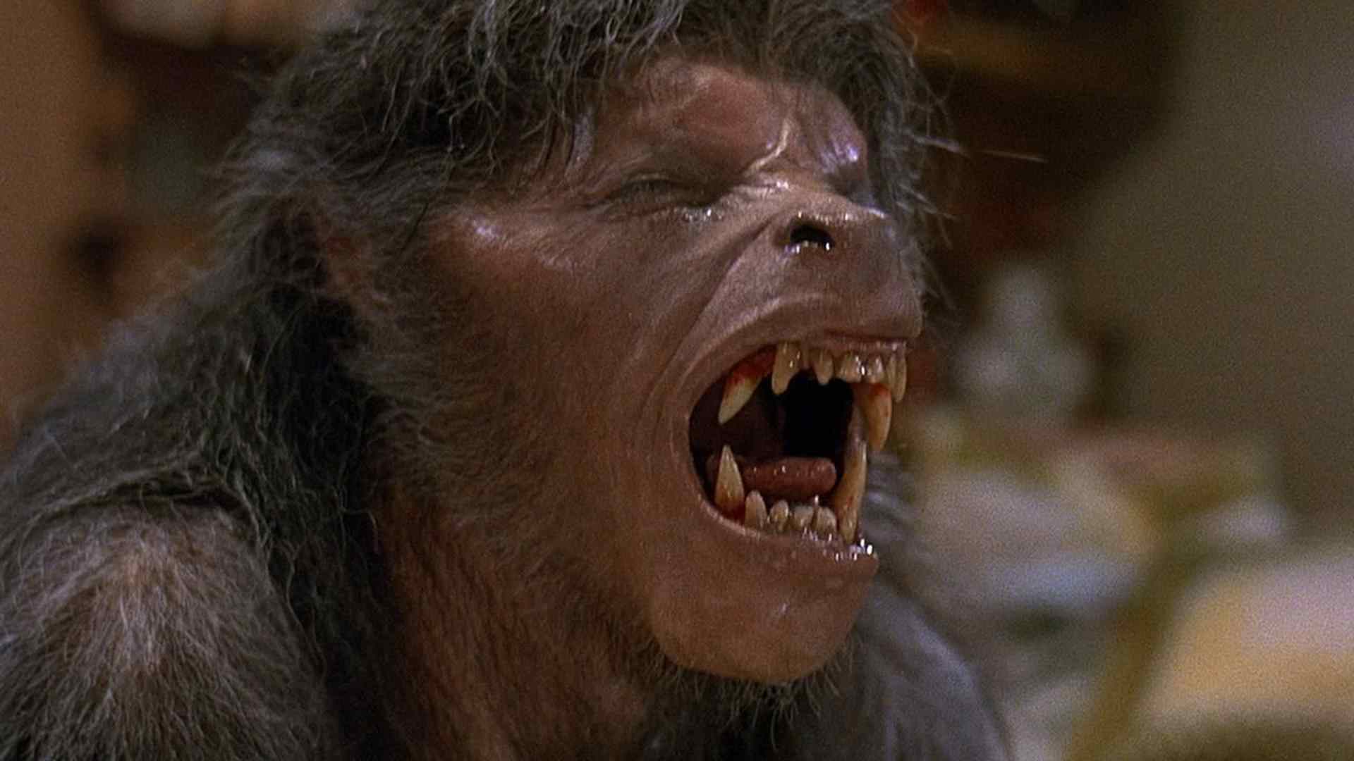 An American Werewolf in London directed by John Landis.