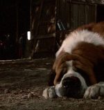 Cujo - Ranking every Stephen King Movie