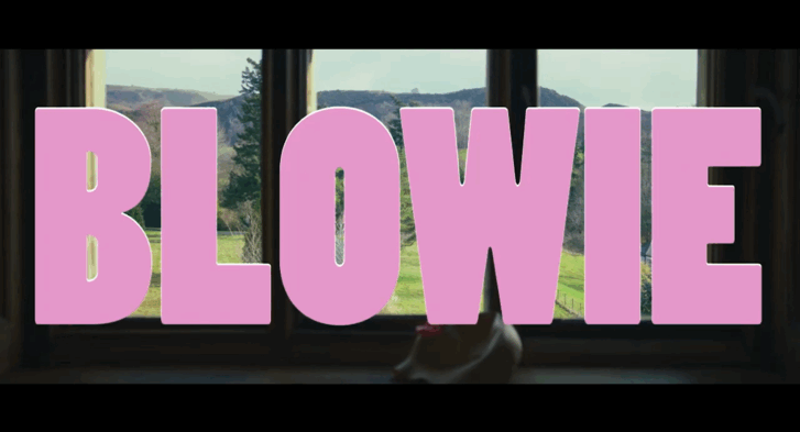 Blowie is a neo-slasher movie with a VERY novel twist.