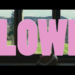 Blowie is a neo-slasher movie with a VERY novel twist.